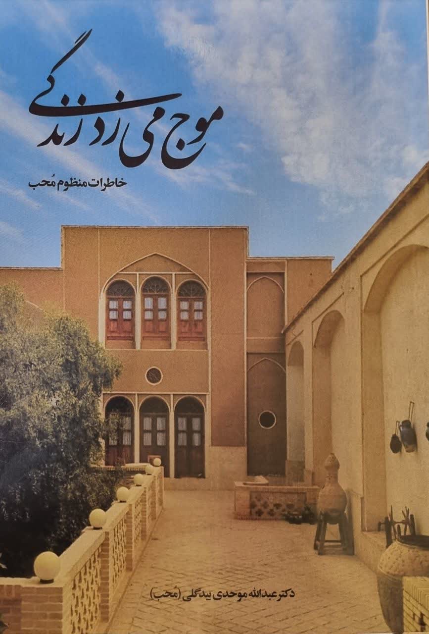 موج می‌زد زندگی: خاطرات منظوم محب