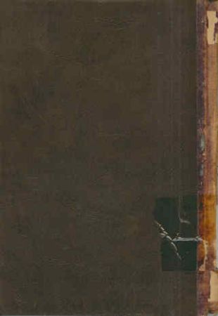 عکس اصلی موبایل