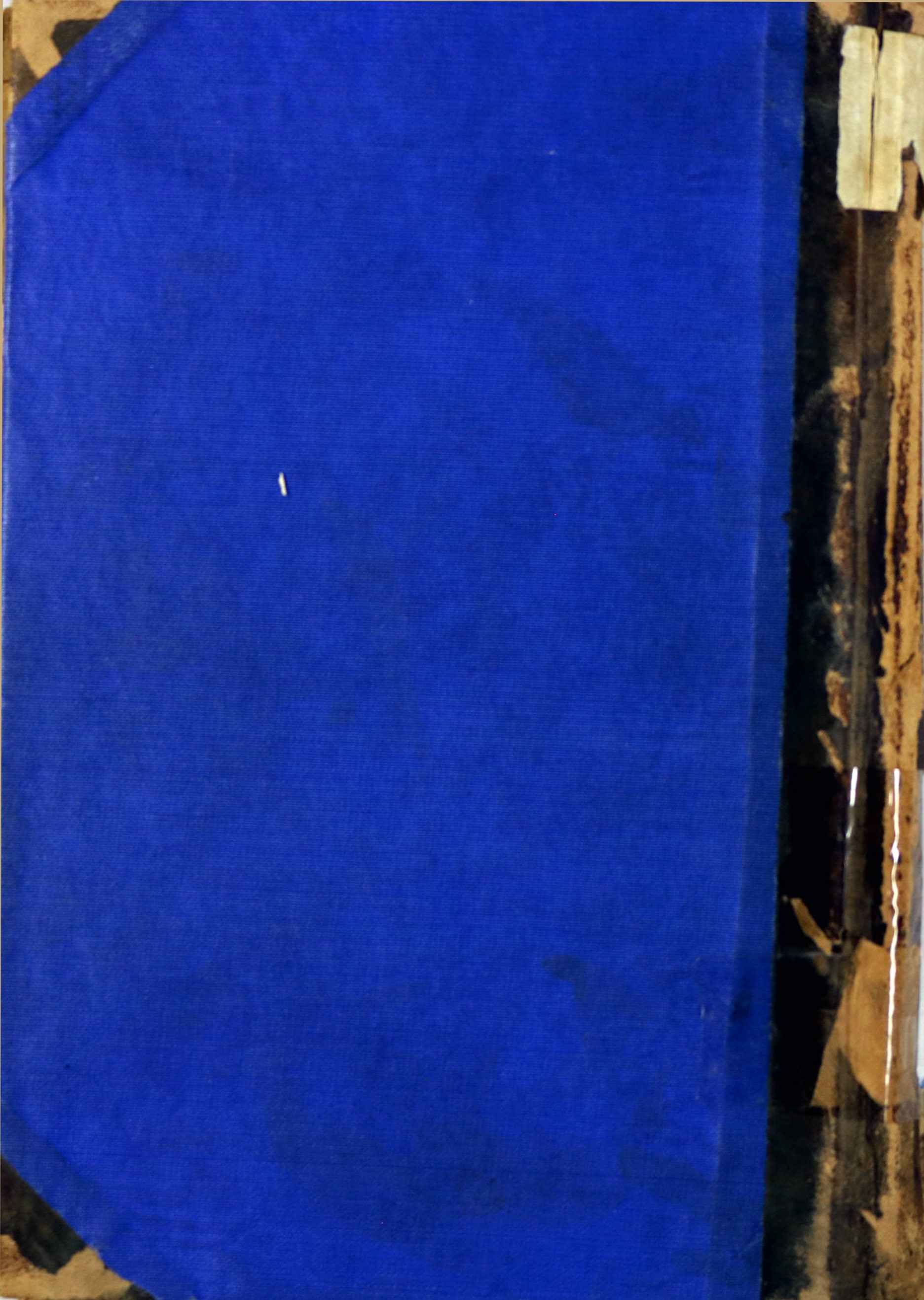 حیاه الحسن بن علی علیه السلام