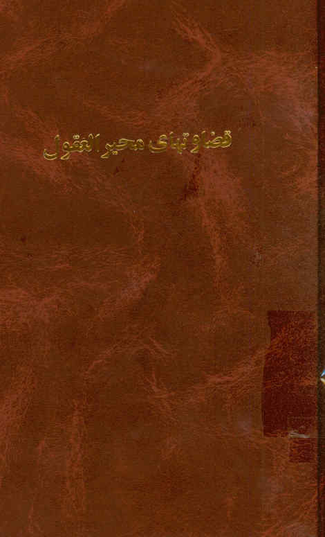 قضاوت های محیر العقول، یا، داوری های حیرت انگیز امیرالمومنین علی بن ابیطالب علیه السلام